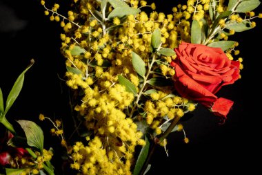 Koyu arkaplandaki güzel çiçekleri kapat 