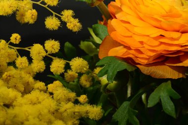 Karanlık arka planda güzel bahar çiçekleri. bahar konsepti.