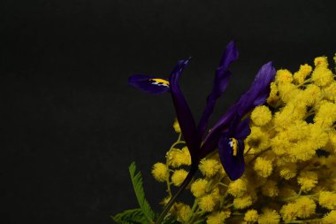 Karanlık arka planda güzel bahar çiçekleri. bahar konsepti.