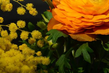 Karanlık arka planda güzel bahar çiçekleri. bahar konsepti.