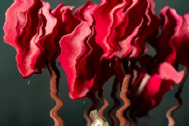 Tahta bir masada kırmızı çiçekler.