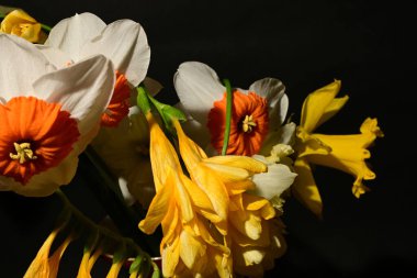 Siyah arka planda güzel bir buket çiçek.  