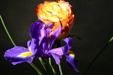 Siyah arka planda güzel bir buket çiçek.  