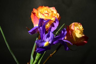 Siyah arka planda güzel bir buket çiçek.  