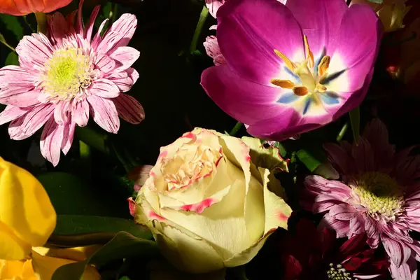 一束美丽而明亮的花朵密闭在一起 — 图库照片