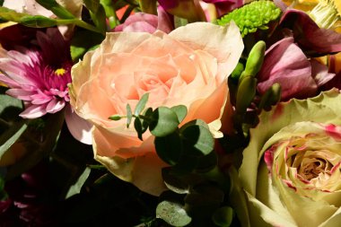 Güzel, parlak bir buket çiçeğe yakın çekim, stüdyo çekimi 