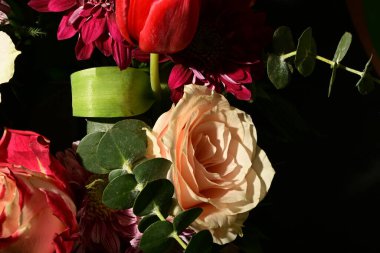 Güzel, parlak bir buket çiçeğe yakın çekim, stüdyo çekimi 