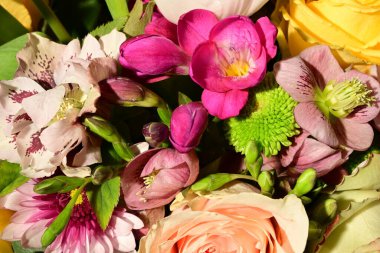 Güzel, parlak bir çiçek buketi, stüdyo çekimi. 