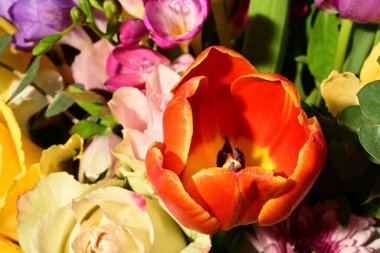 Güzel, parlak bir çiçek buketi, stüdyo çekimi. 