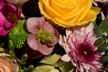 Güzel, parlak bahar çiçekleri, stüdyo çekimi.