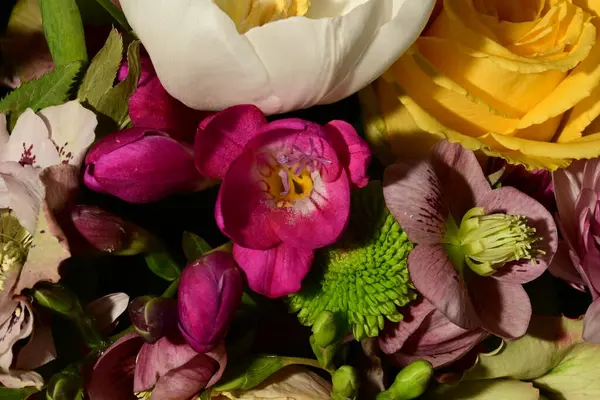 美丽明亮的春花花束 工作室拍摄 — 图库照片
