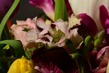 Güzel, parlak bahar çiçeklerine yakın.