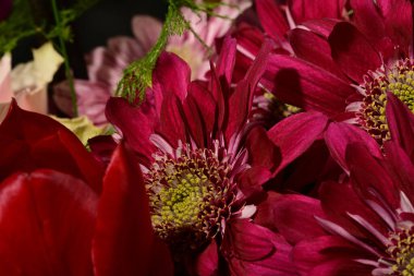 Güzel, parlak bir buket çiçeğe yakın.