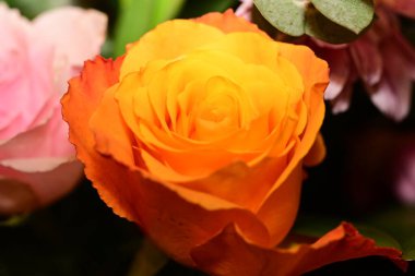 Güzel, parlak bir buket çiçeğe yakın.