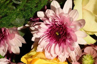 Güzel, parlak bir çiçek buketi, stüdyo çekimi. 