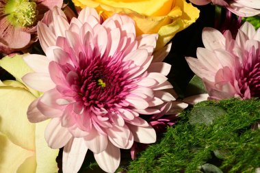 Güzel, parlak bir çiçek buketi, stüdyo çekimi. 