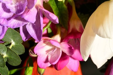 Güzel, parlak bir çiçek buketi, stüdyo çekimi. 