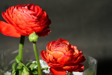 Koyu arkaplandaki güzel buketi kapat.