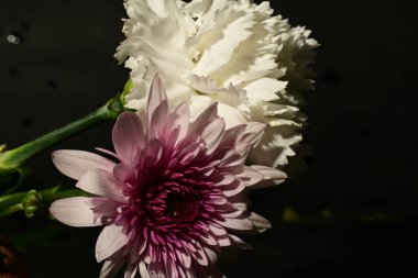 Koyu arkaplandaki güzel, parlak bahar buketini kapat.