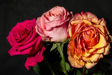 Güzel, parlak bahar buketini kapat.