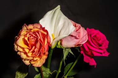 Siyah arka plandaki güzel, parlak bahar buketini kapat. 