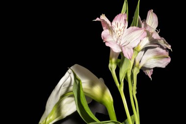 Siyah arka plandaki güzel, parlak bahar buketini kapat. 