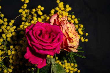 Güzel, parlak bahar buketi, kapat