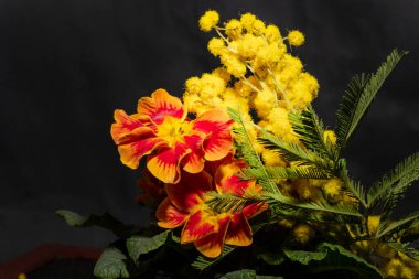 Güzel, parlak bahar buketi, kapat