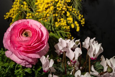 Koyu arkaplandaki güzel çiçekleri kapat. 