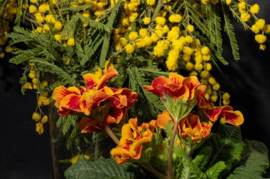 Koyu arkaplandaki güzel çiçekleri kapat. 