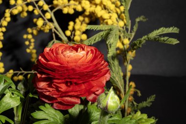 Koyu arkaplandaki güzel çiçekleri kapat. 