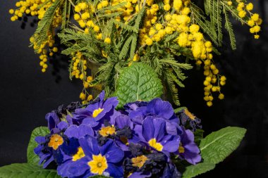 Koyu arkaplandaki güzel çiçekleri kapat. 