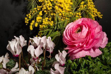 Koyu arkaplandaki güzel çiçekleri kapat. 