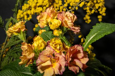 Koyu arkaplandaki güzel çiçekleri kapat. 