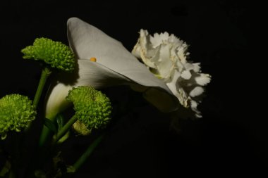 Koyu arkaplandaki güzel çiçekleri kapat. 