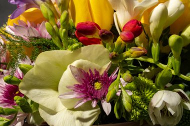 Koyu arkaplandaki güzel çiçek buketini kapat. 