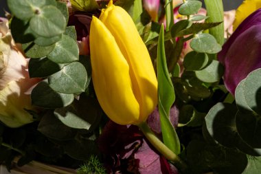 Güzel bir buket parlak çiçeğe yaklaş. 