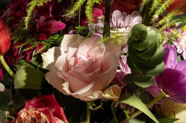 Koyu arkaplandaki güzel çiçekleri kapat. 