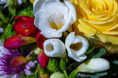 Güzel bir buket parlak çiçeğe yaklaş. 