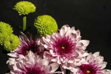 Bahçedeki güzel çiçekler