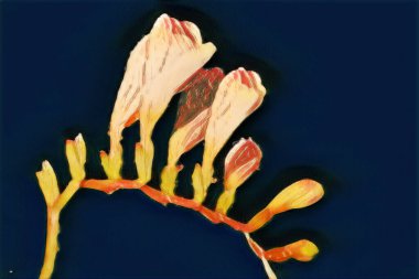 Vazodaki güzel çiçekler