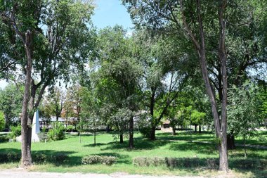 Yazın kırsalda yeşil ağaçlı güzel doğal manzara            