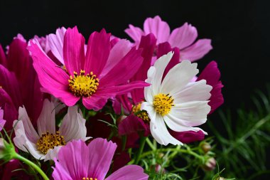 Güzel bir buket çiçek, yakın çekim. 