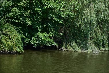 Kırsalda küçük bir göl