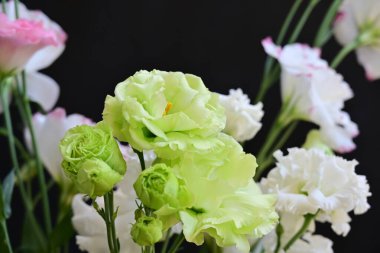 Güzel bir buket parlak Eustoma çiçeği, yakın çekim. 