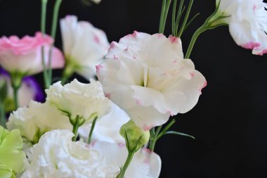 Güzel bir buket parlak Eustoma çiçeği, yakın çekim. 