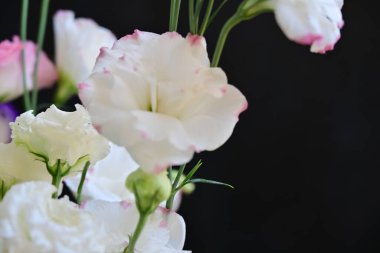 Güzel bir buket parlak Eustoma çiçeği, yakın çekim. 