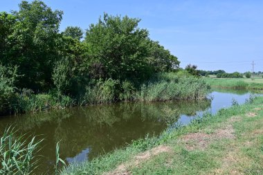 Hollanda 'nın güzel manzarası