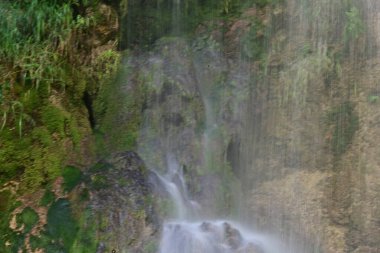 Ormanda güzel bir şelale