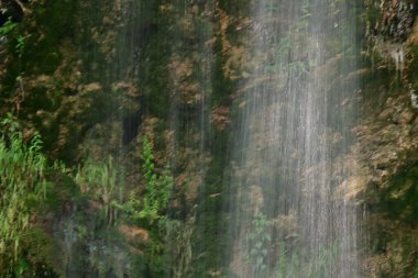 Ormanda güzel bir şelale